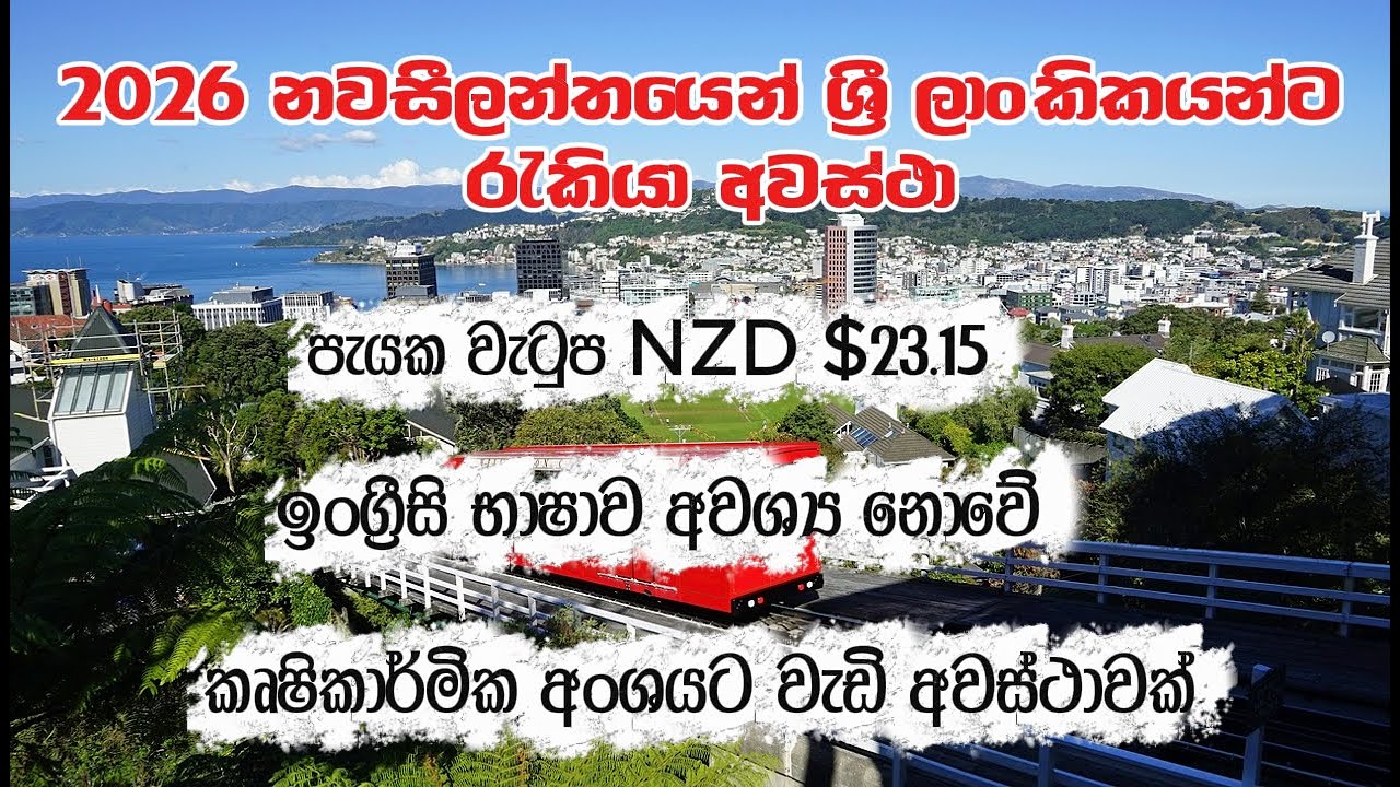 2026 නවසීලන්තයට එන්නේ කොහොමද | How to migrate New Zealand easily | New Zealand Sinhala| Apply Now