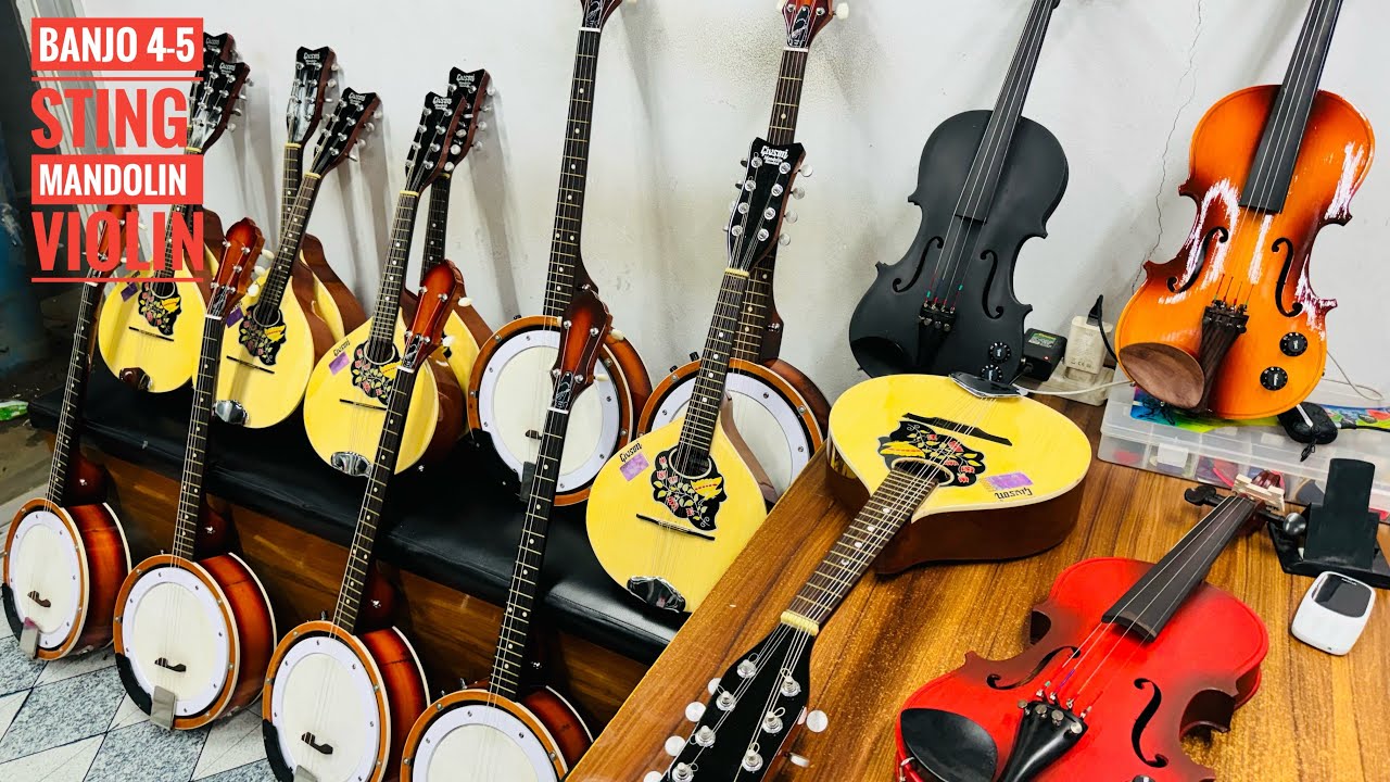 Original Mandolin Givson/Signature Banjo 4/5 strings indian Violin/Music instrument sell price BD