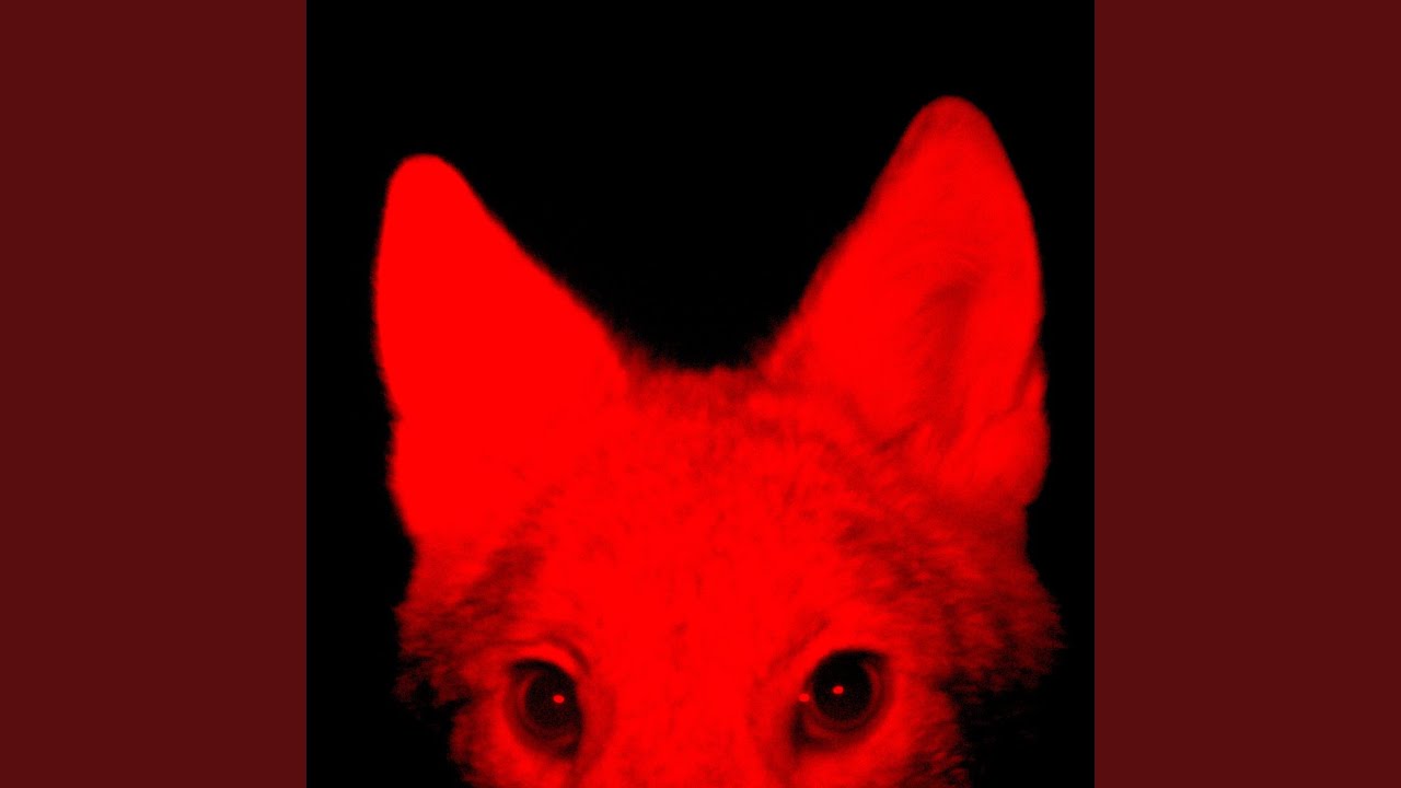 Todos los animales