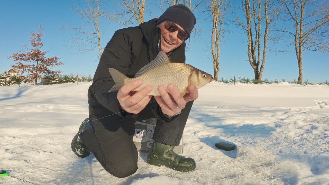 Žiema, pusnys ir... KAROSAI?! Kas per žūklė kiemo kūdroje?