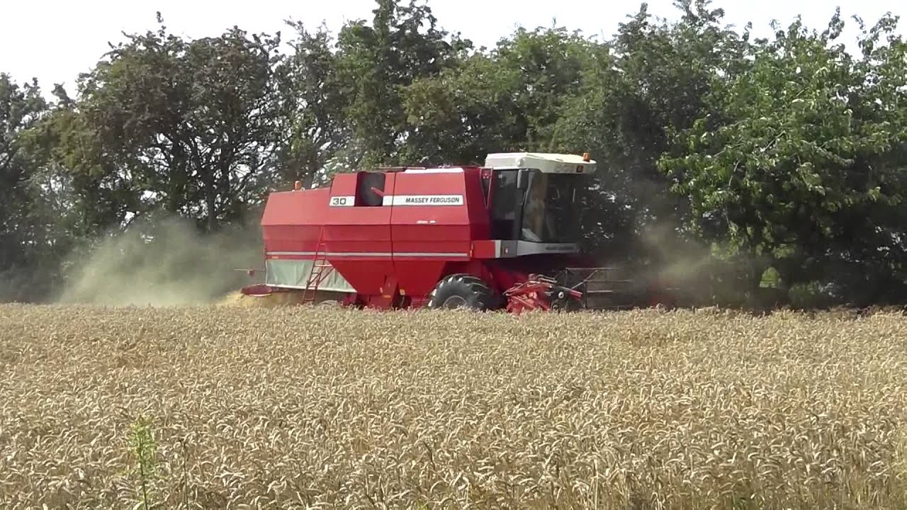 Høst på Tåsinge 2015
