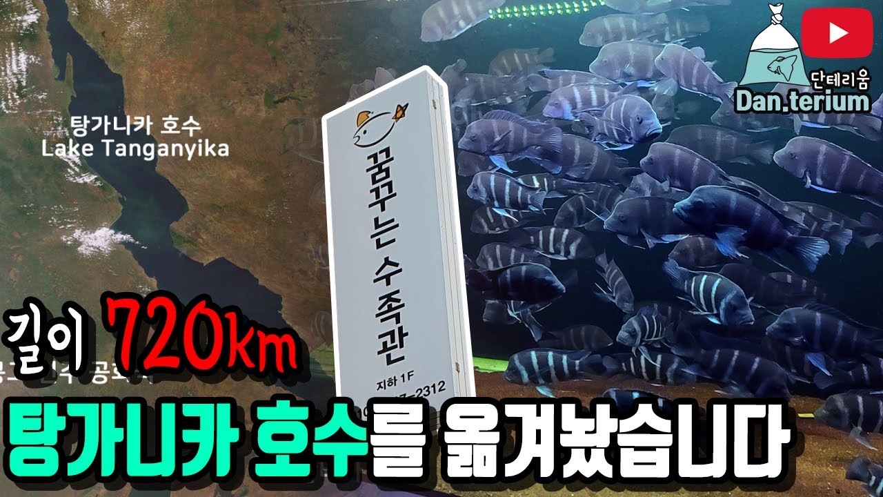 탕가니카 호수를 옮겨놓은 그곳!