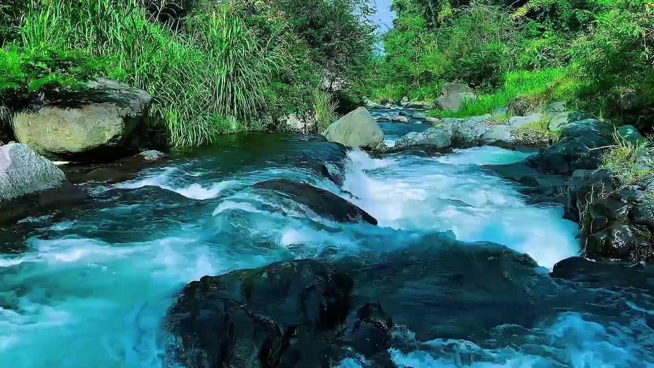 Forest River Water Audio, Mountain Stream Flowing, Sleep
