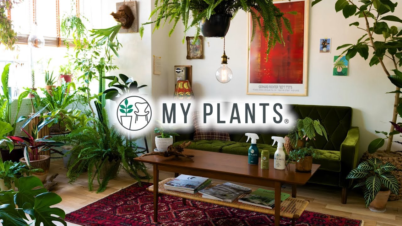 観葉植物のための植物ケアシリーズ MY PLANTS（マイプランツ）/KINCHO園芸