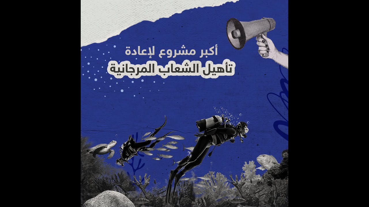 أكبر مشروع لاعادة تأهيل الشعاب المرجانية في أبوظبي