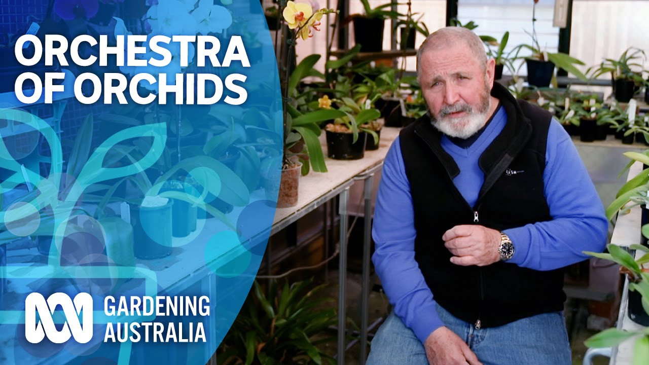 A lifelong obsession with orchids | My Garden Path | Gardening Australia