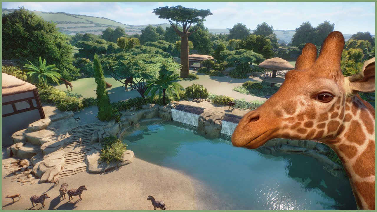 🦒🦓Safari Habitat | Amalfina Zoo | Planet Zoo | speedbuild🌴