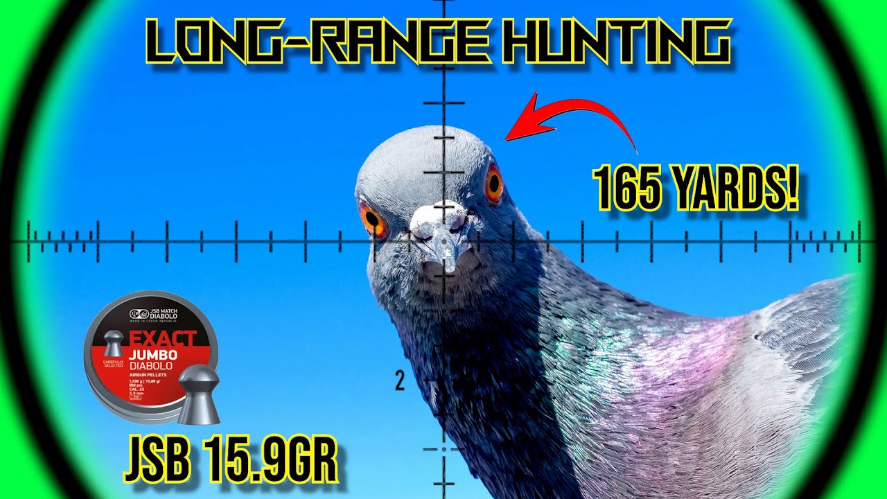 Long-Range Airgun Hunting with 15.9gr JSB Pellets | FX DRS Classic | Walnut | Airgun Pest Control
