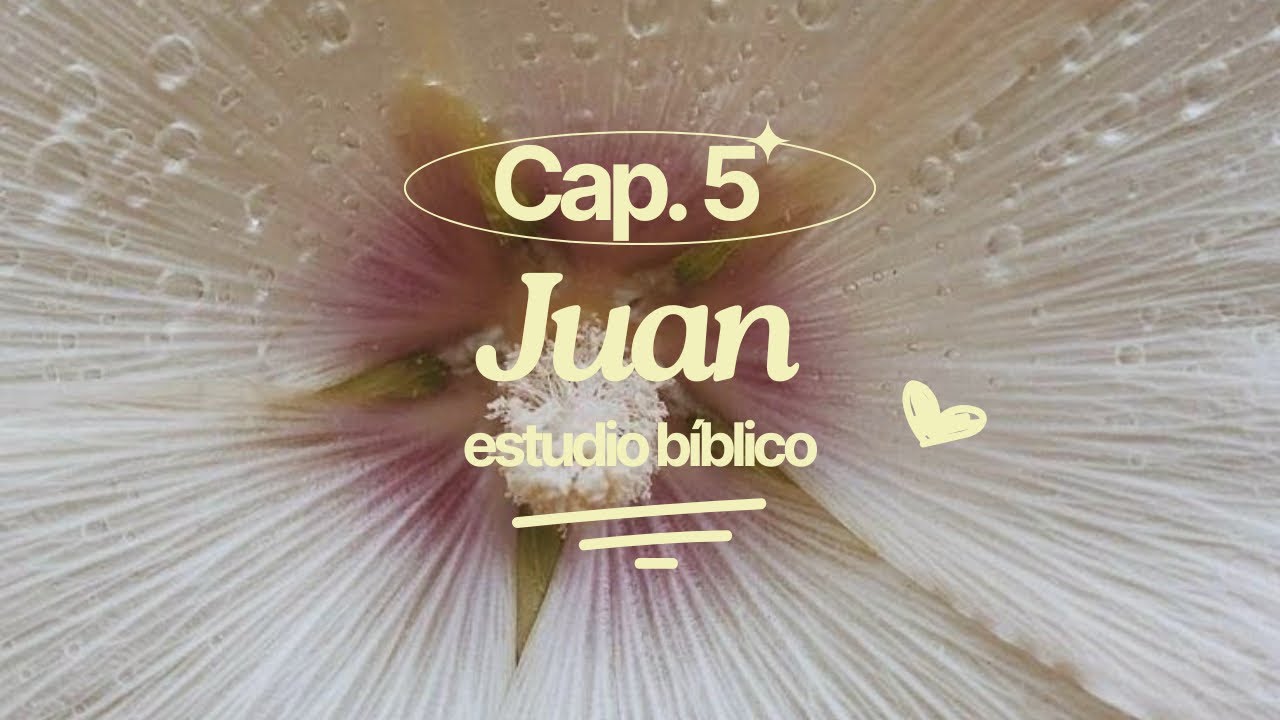 Juan Capítulo 5 - Estudio Bíblico