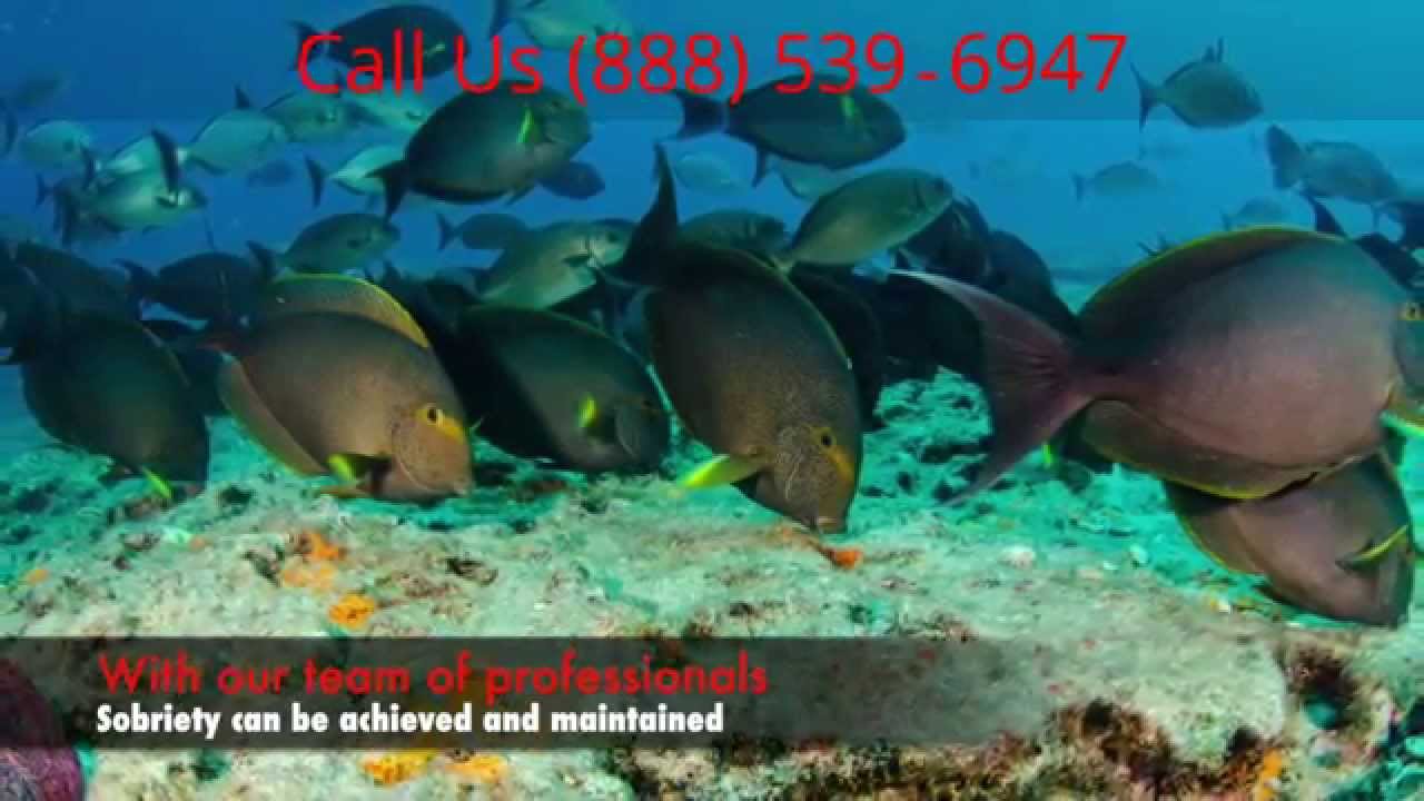 Irvine CA Right Path Drug Rehab & Addiction Treatment Center (888)539‐6947