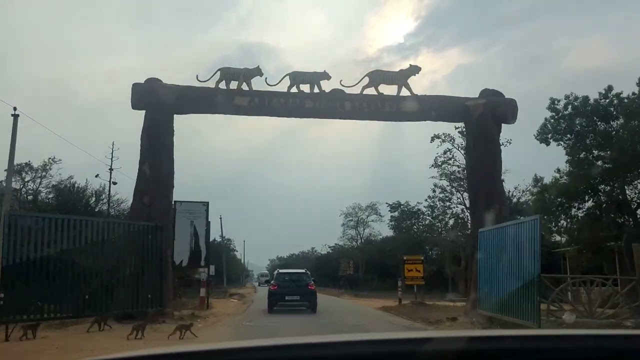 Driving 950 KM to Srisailam Jyotirlinga 🚗 | Thane to Srisailam | Part 2 ⭐