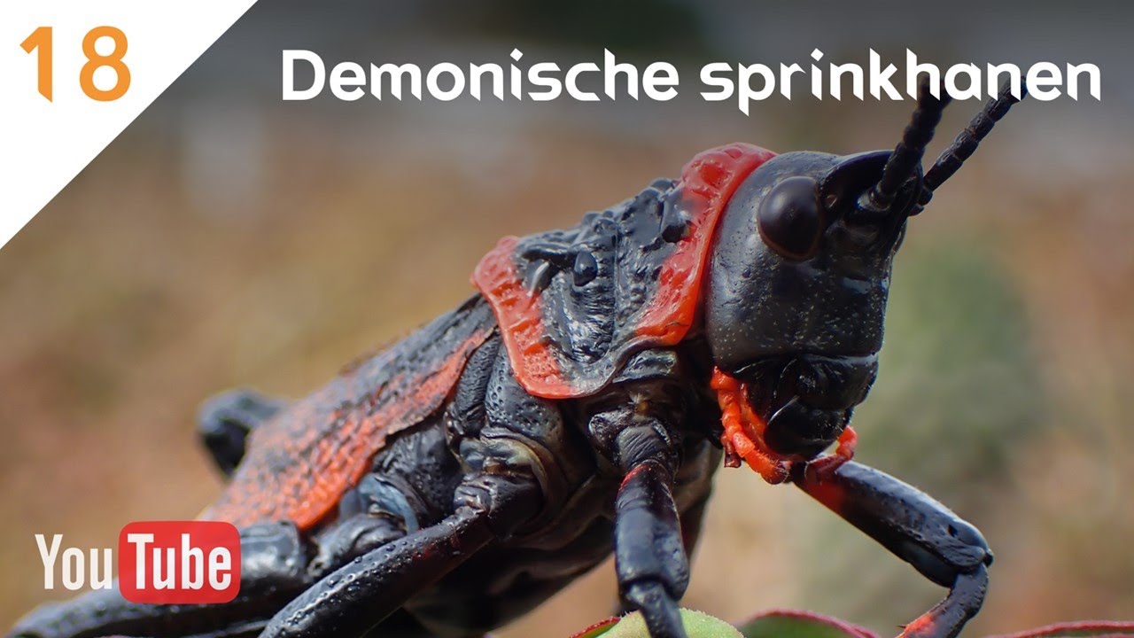 ZIE, IK KOM SPOEDIG (18) - Openbaring 9:1-11 - Demonische sprinkhanen