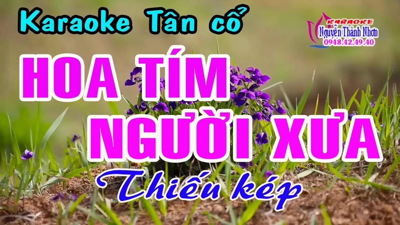 Karaoke tân cổ HOA TÍM NGƯỜI XƯA - THIẾU KÉP [Hát cùng Tuyết Lê]