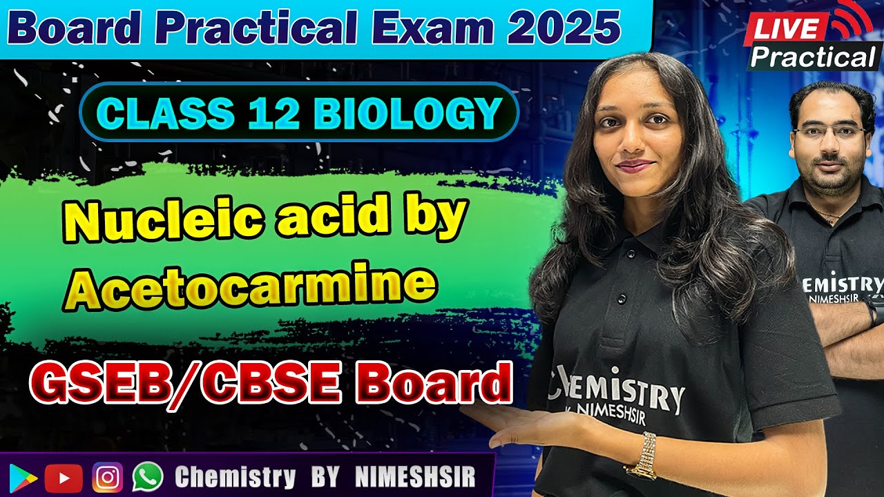 Nucleic acid by Acetocarmine | STD 12 Biology Practical For Board Practical Exam 2025