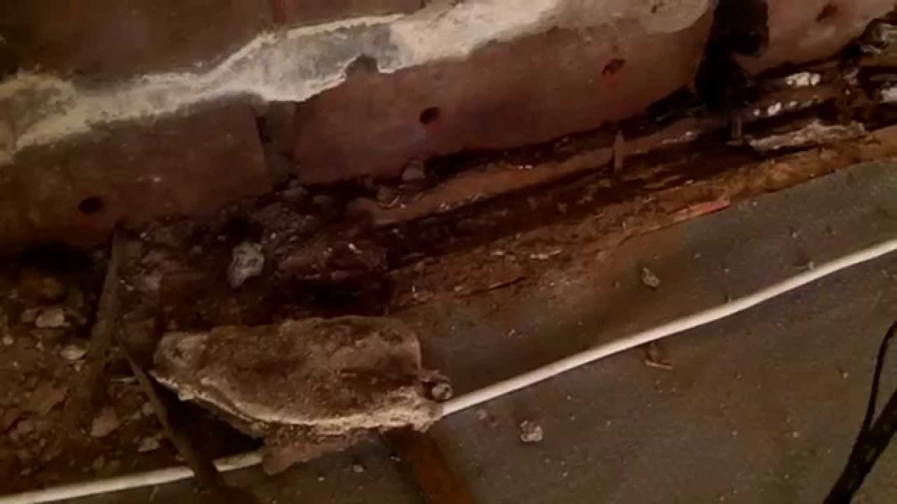 Electro osmotic damp course and injection damp proofing don't work!