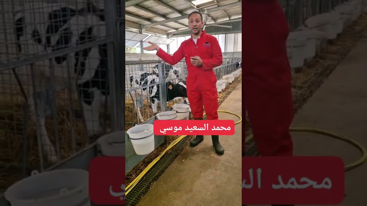 سؤال وجواب مع محمد السعيد موسي