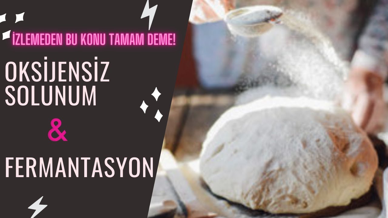 AYT Biyoloji | Oksijensiz Solunum, Fermantasyon Konu Anlatımı 2022 AYT TYT