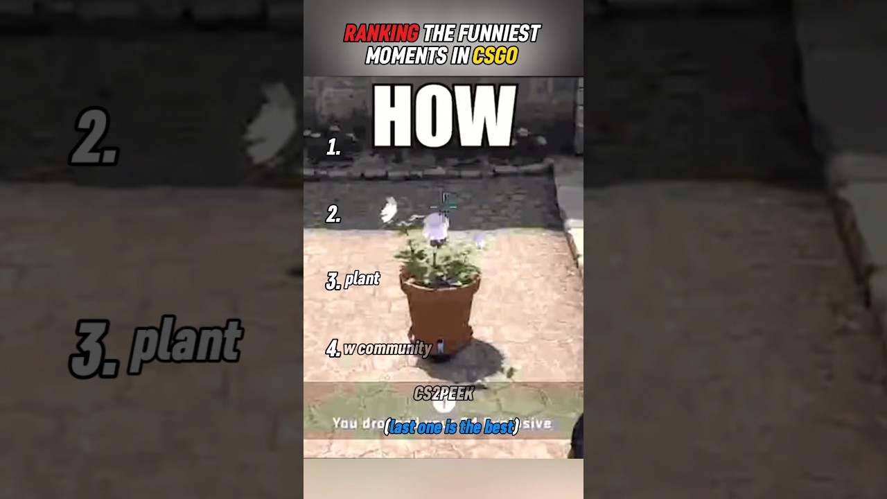 funniest moments in csgo#shorts #csgo#cs2