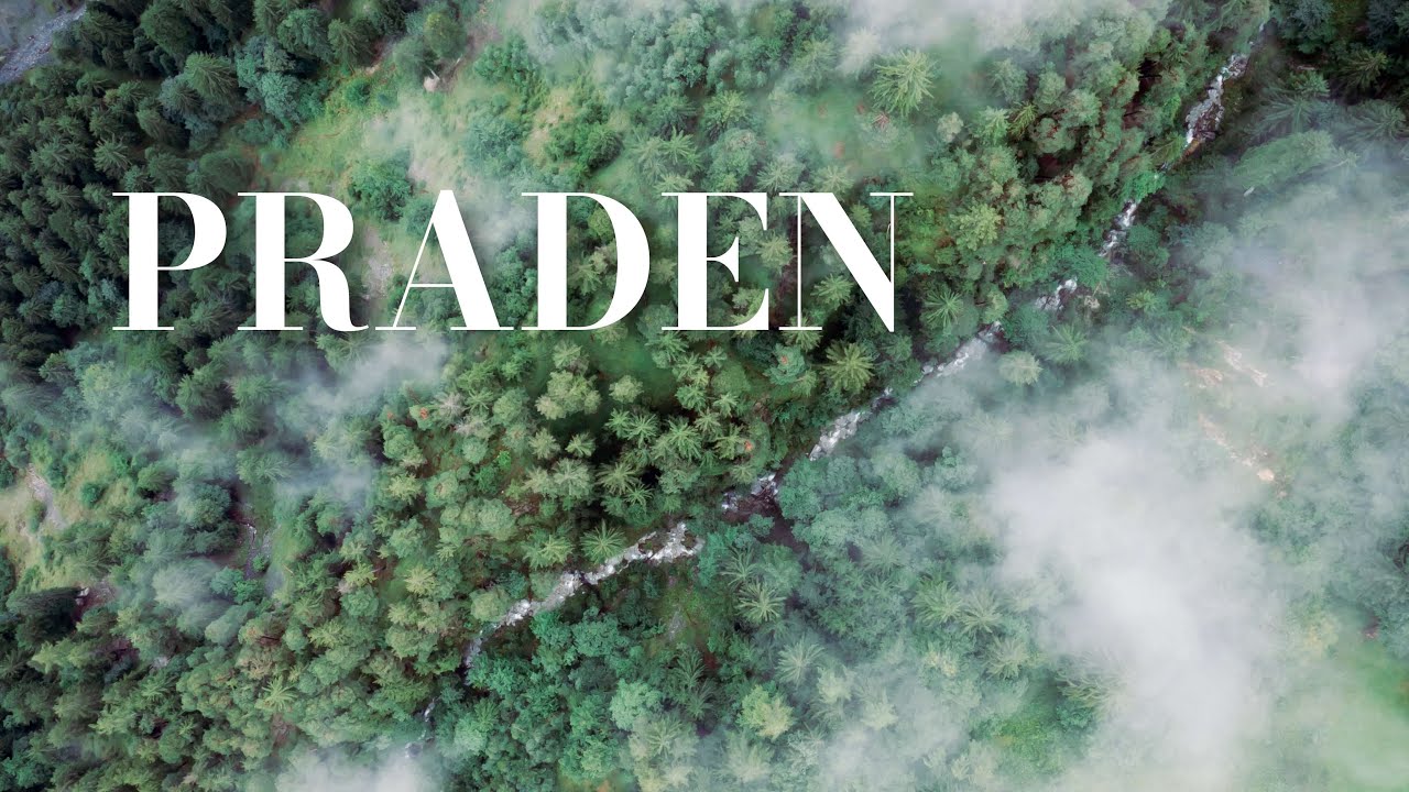 P R A D E N