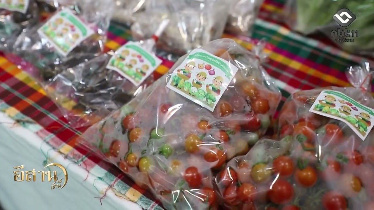 ยโสธร จัดงานมหกรรมการออม 52 ปี ทุนชุมชนขับเคลื่อนเศรษฐกิจฐานราก อีสานเช้านี้ NBT UBON 120369