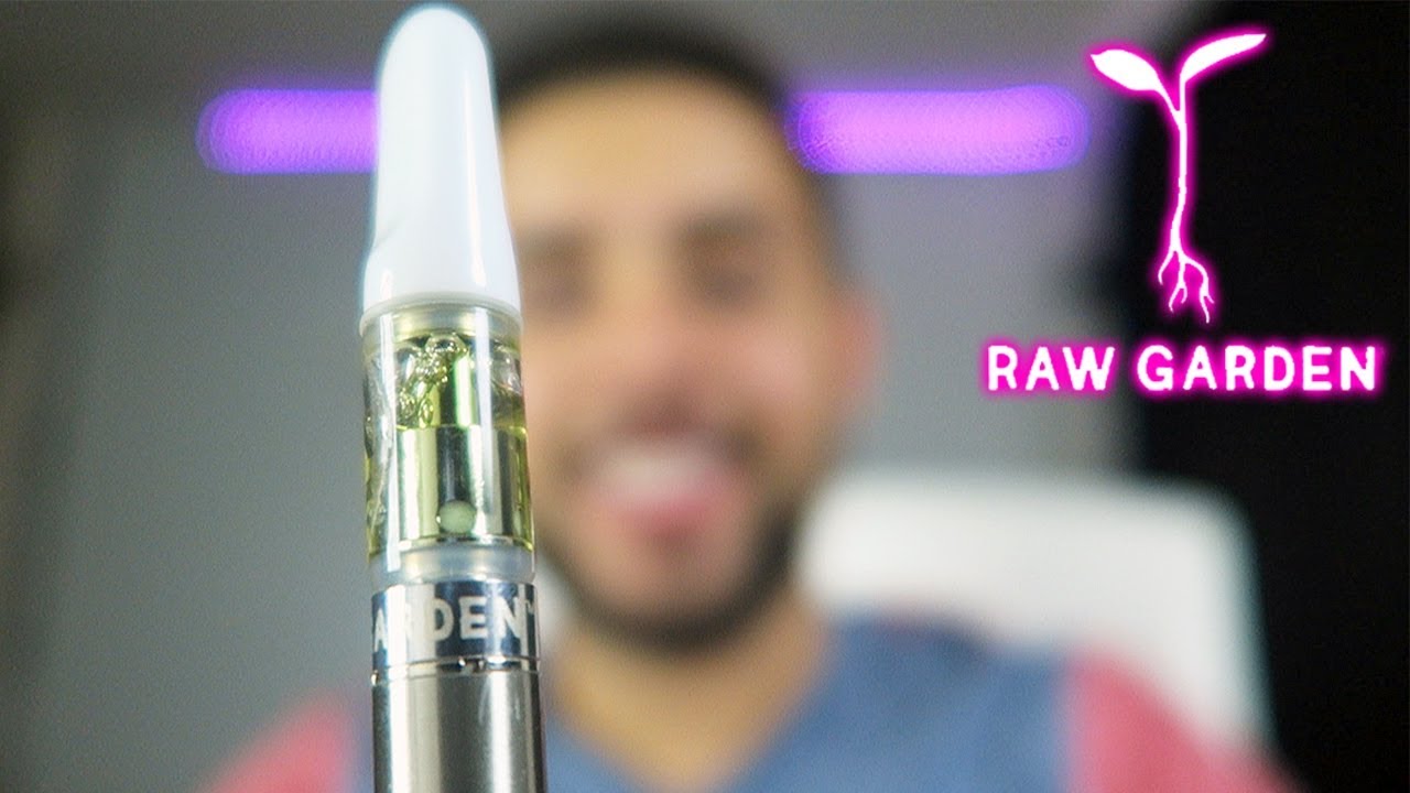 RAW GARDEN RASPBERRY PUNCH #5 WAX CARTRIDGE REVIEW!!
