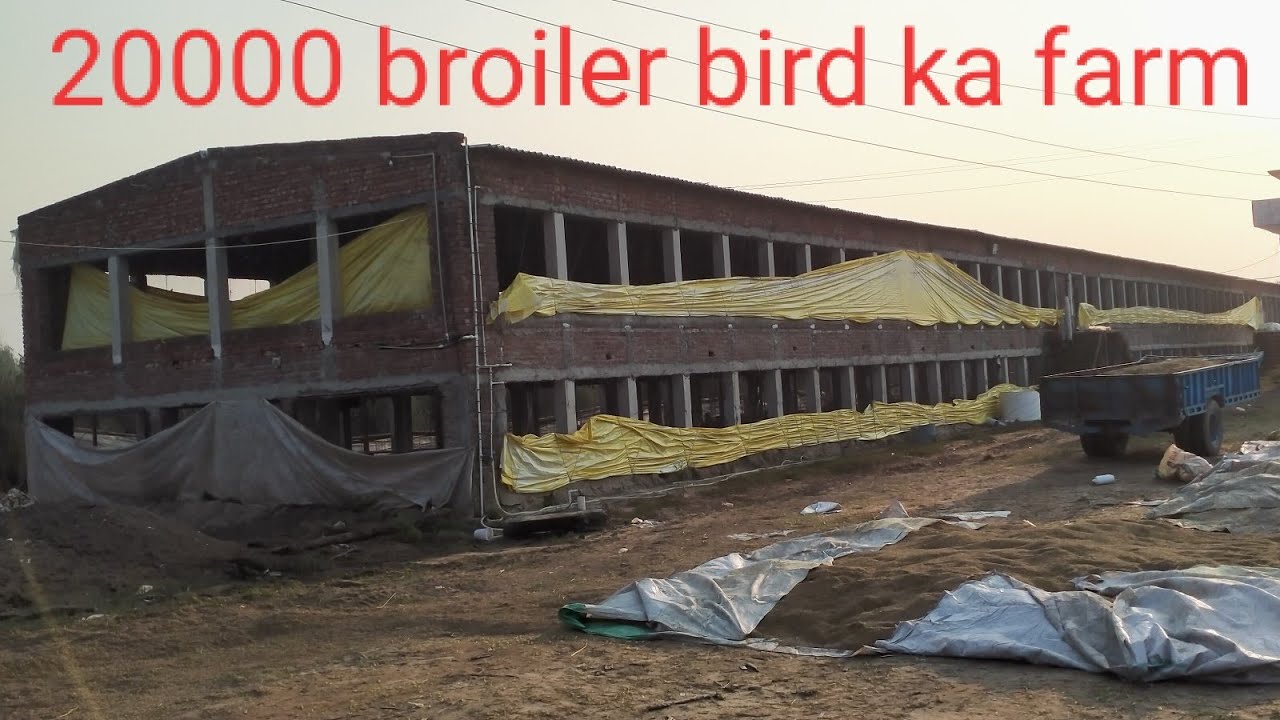 Poultry farm 20000 bird