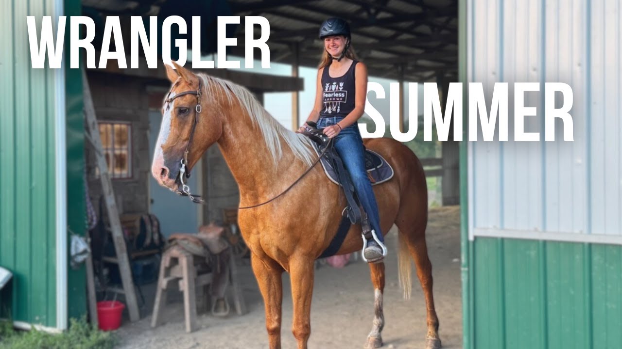 My Summer as a Wrangler | Working at a Horse Camp