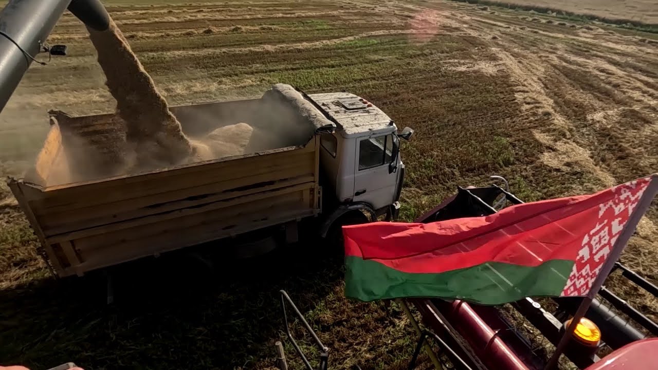 Закончили убирать озимый ячмень 2025 (#4 рабочий день)