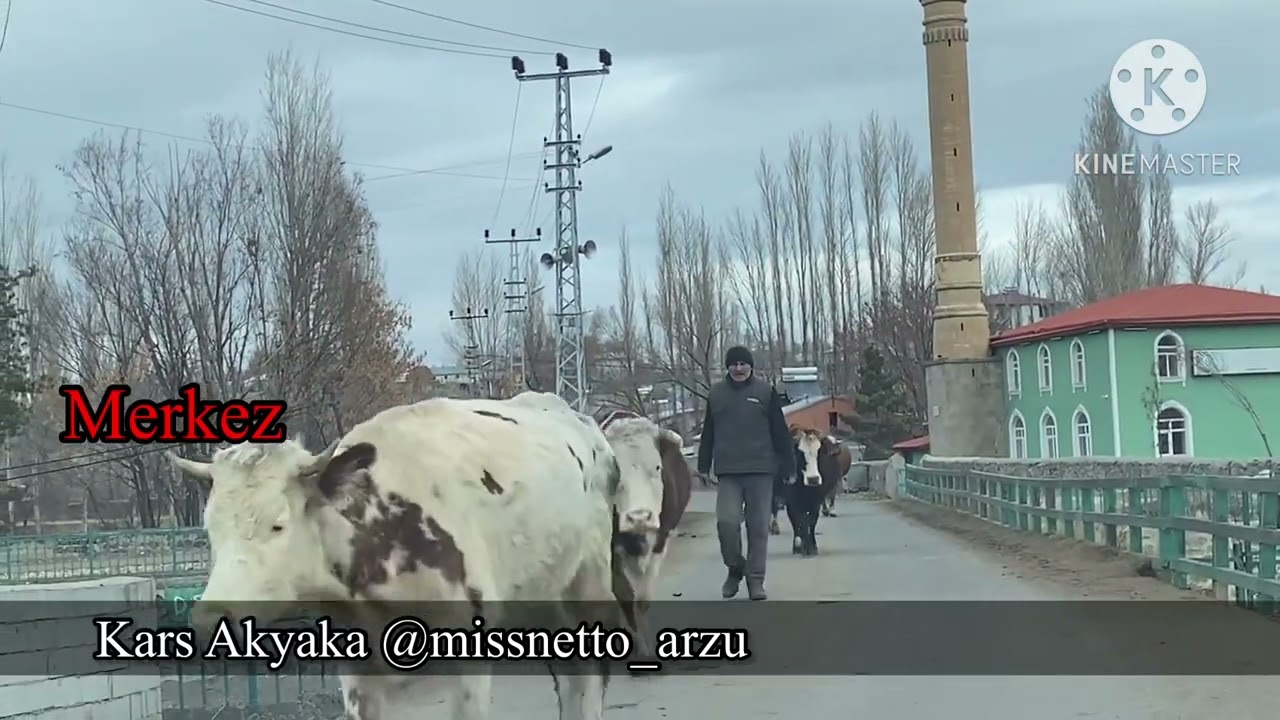 Kars Akyaka