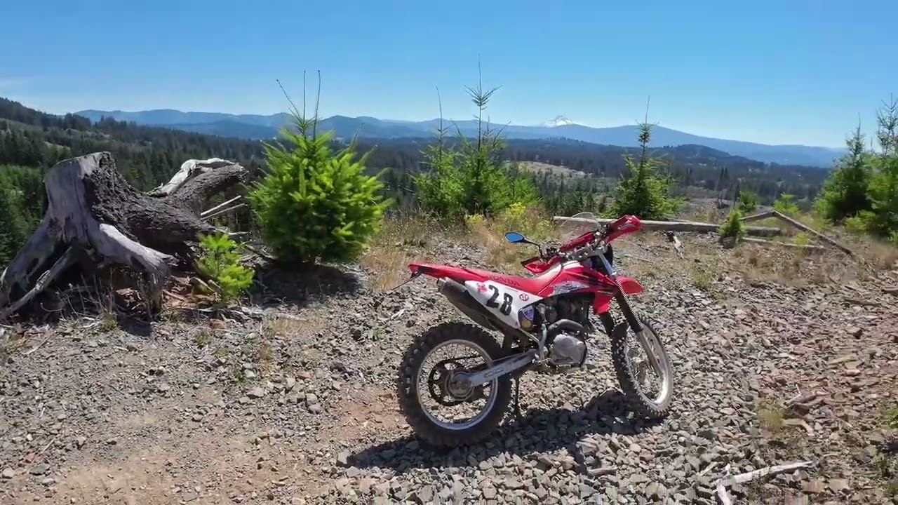 Dirt biking on the Honda CRF 230F Jones Creek ORV Trailhead Camas WA July 12 2025