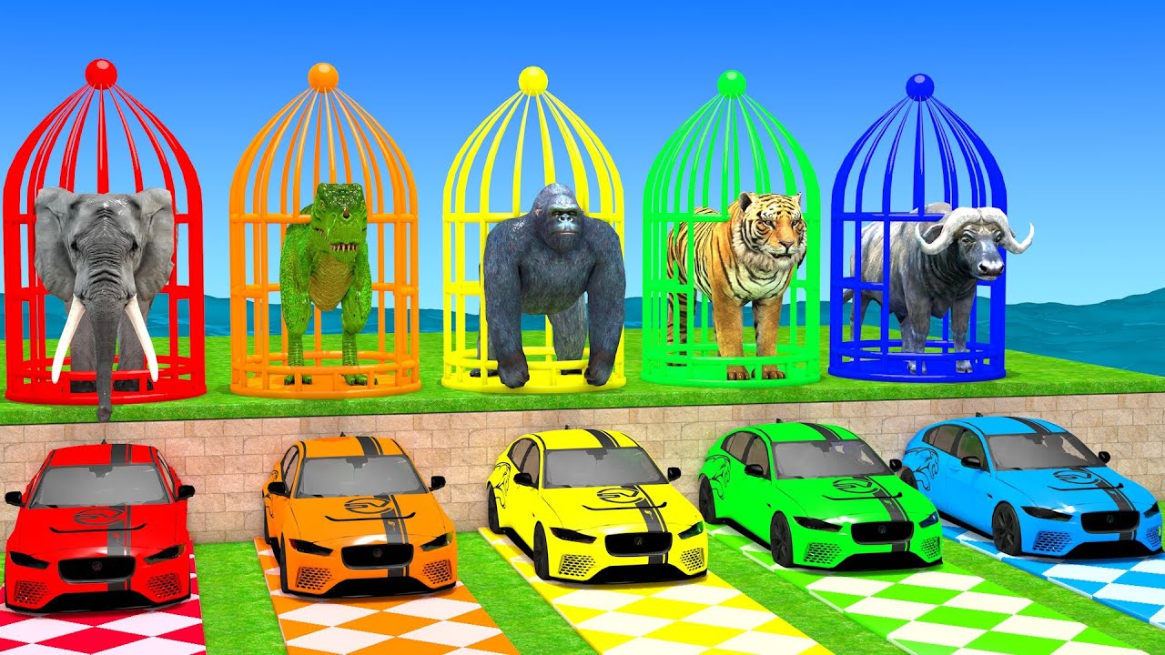 Long Slide Game with Cow Elephant Gorilla Hippopotamus Tiger 3d Animal Game Funny 3d Animals