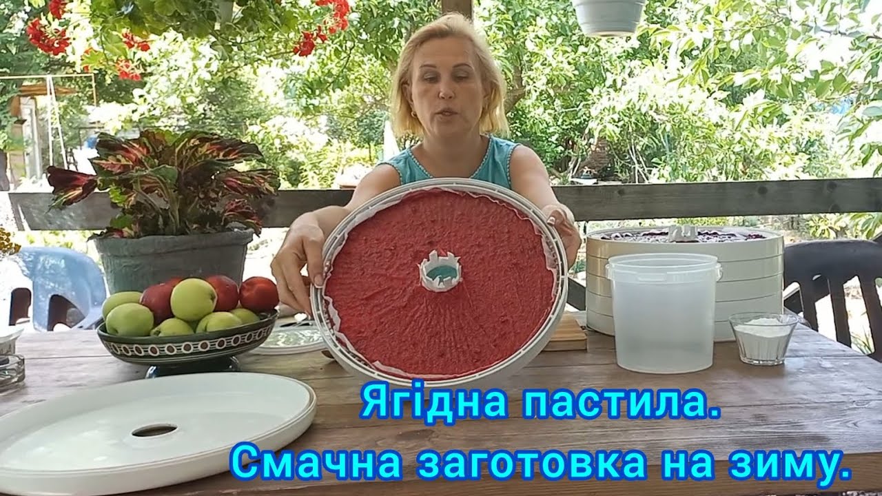 Ягідна ПАСТИЛА🍒🫐🍓Смачна і корисна#натуральніцукерки#ягіднапастила#пастила#домашняпастила#сушка