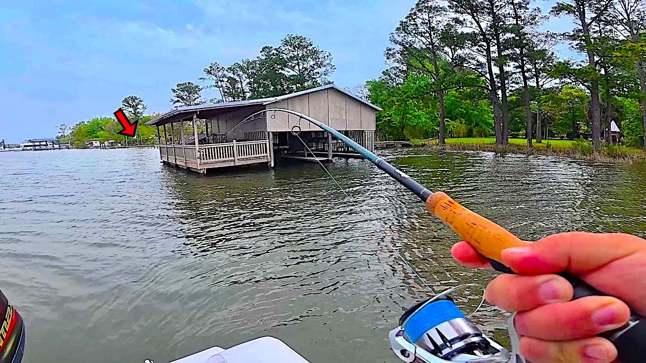This is the BOAT DOCK Fish I Wanted!