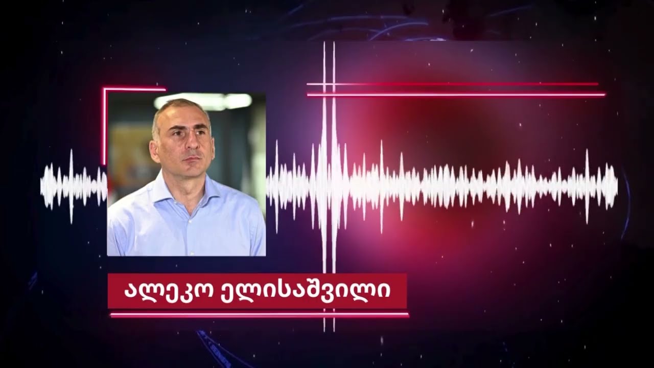 რატომ მიკრძალავთ შვილებთან და მეუღლესთან შეხვედრას ციხეში? - ალეკო ელისაშვილის საიტყვა სასამართლოზე