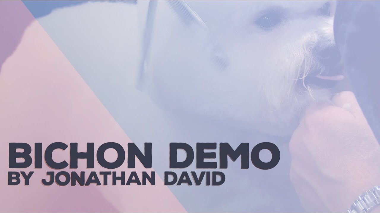 Bichon Demo by Jonathan David