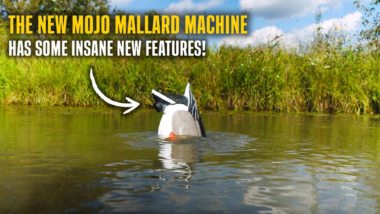 НОВАЯ машина Mojo Mallard имеет УДИВИТЕЛЬНЫЕ функции!