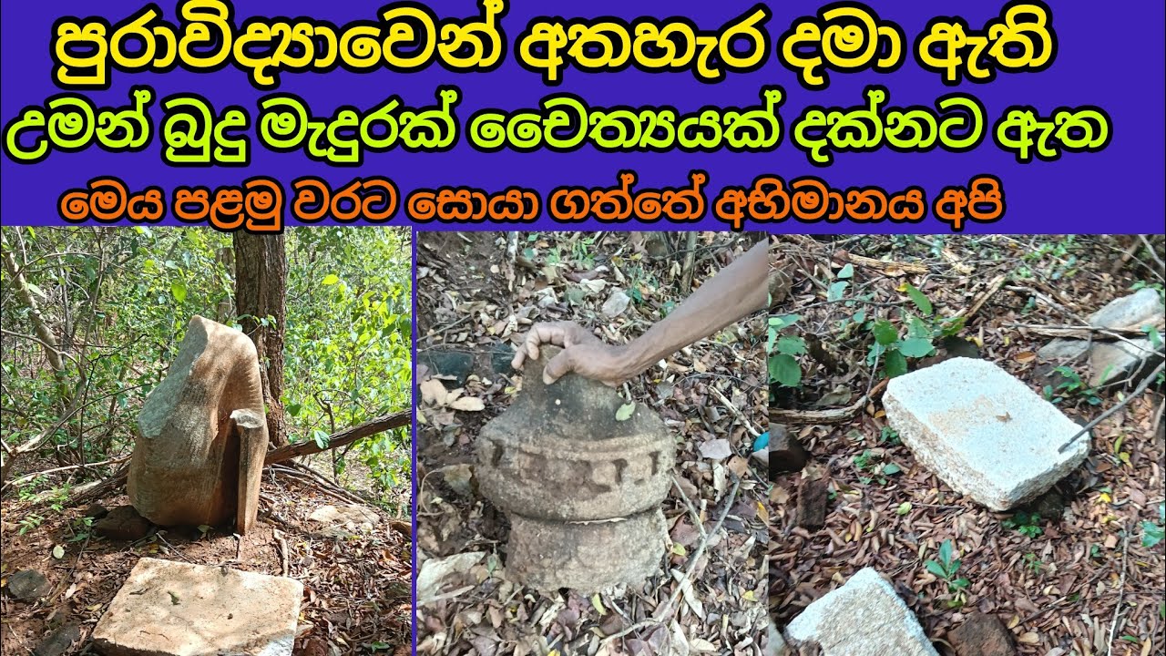 පුරාවිද්‍යාවෙන් අතහැර දමා ඇති පෞරාණික චෛත්‍යයක් උමං බුදු මැදුරක් සියලු දේ නිදන් හොරුන් කැණීම් කර ඇත