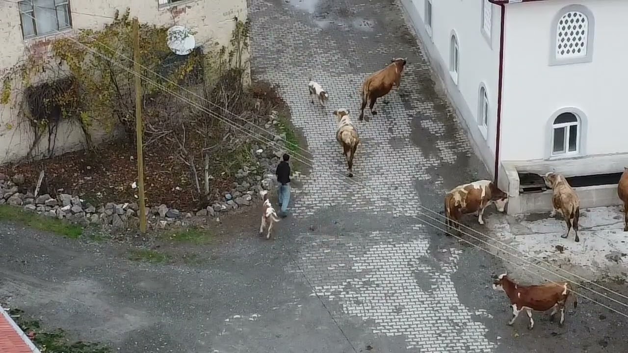 Yozgat Akdağ Madeni Tarhana Köyü 