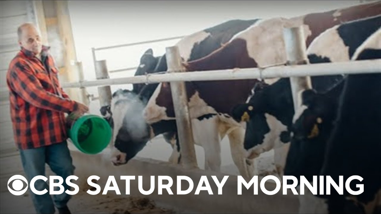 Dairy farmers search for solutions as milk consumption drops