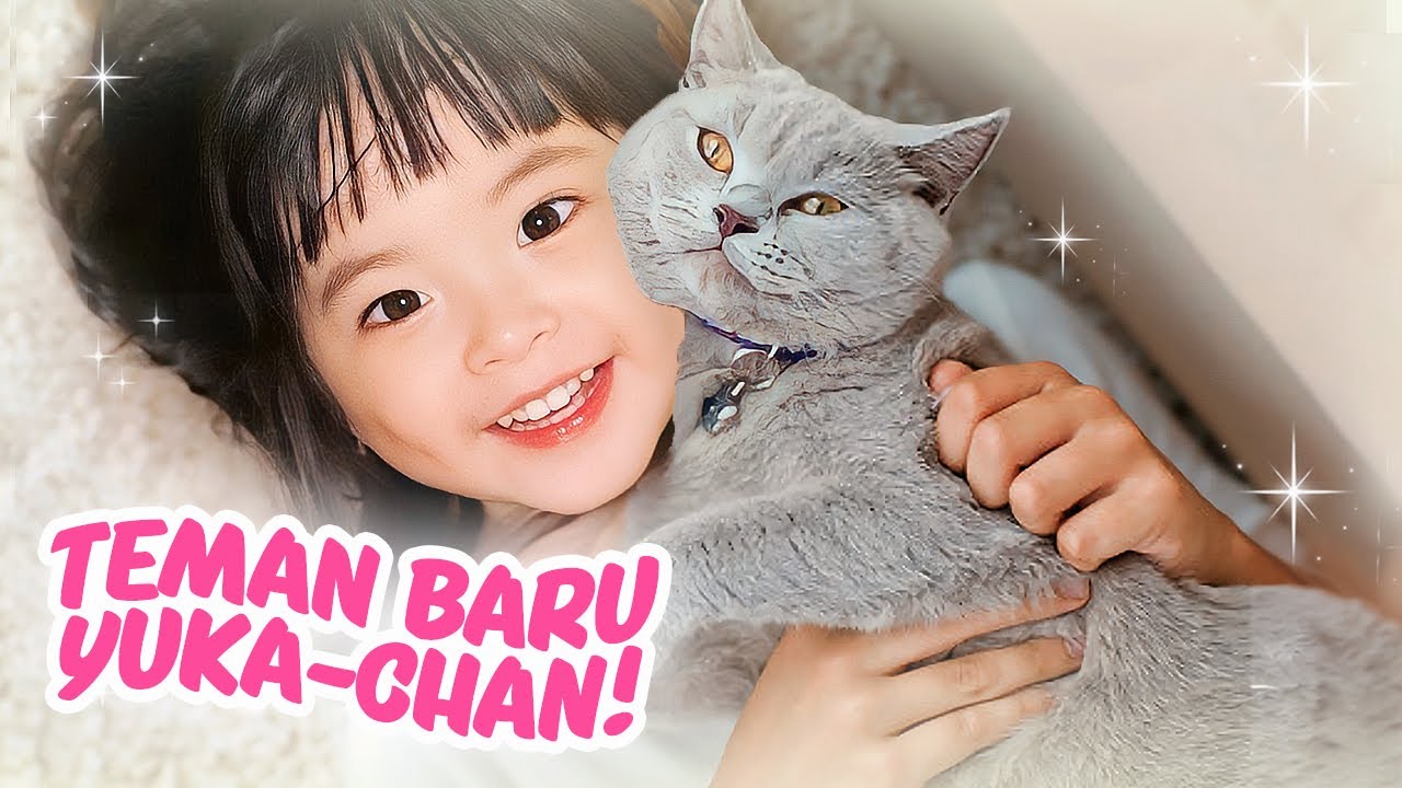 YUKA-CHAN ADOPSI BANYAK KUCING! | a day in our life
