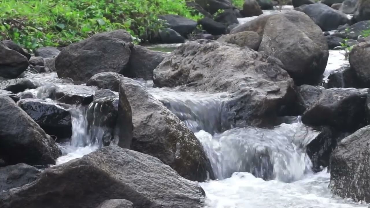 Relaxing Water Sounds for Sleeping Live &ndash; Calming Nature Ambience for Deep Sleep & Stress Relief