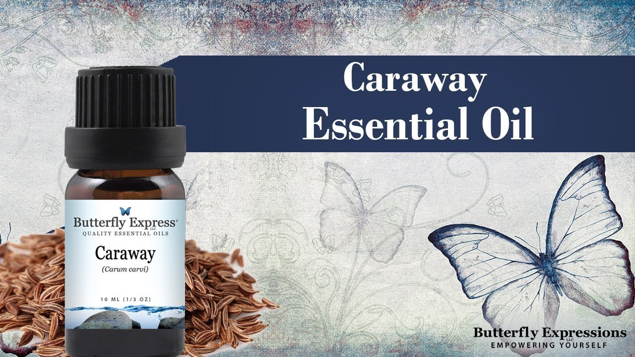 Caraway Essential Oil from Butterfly Essential Oils