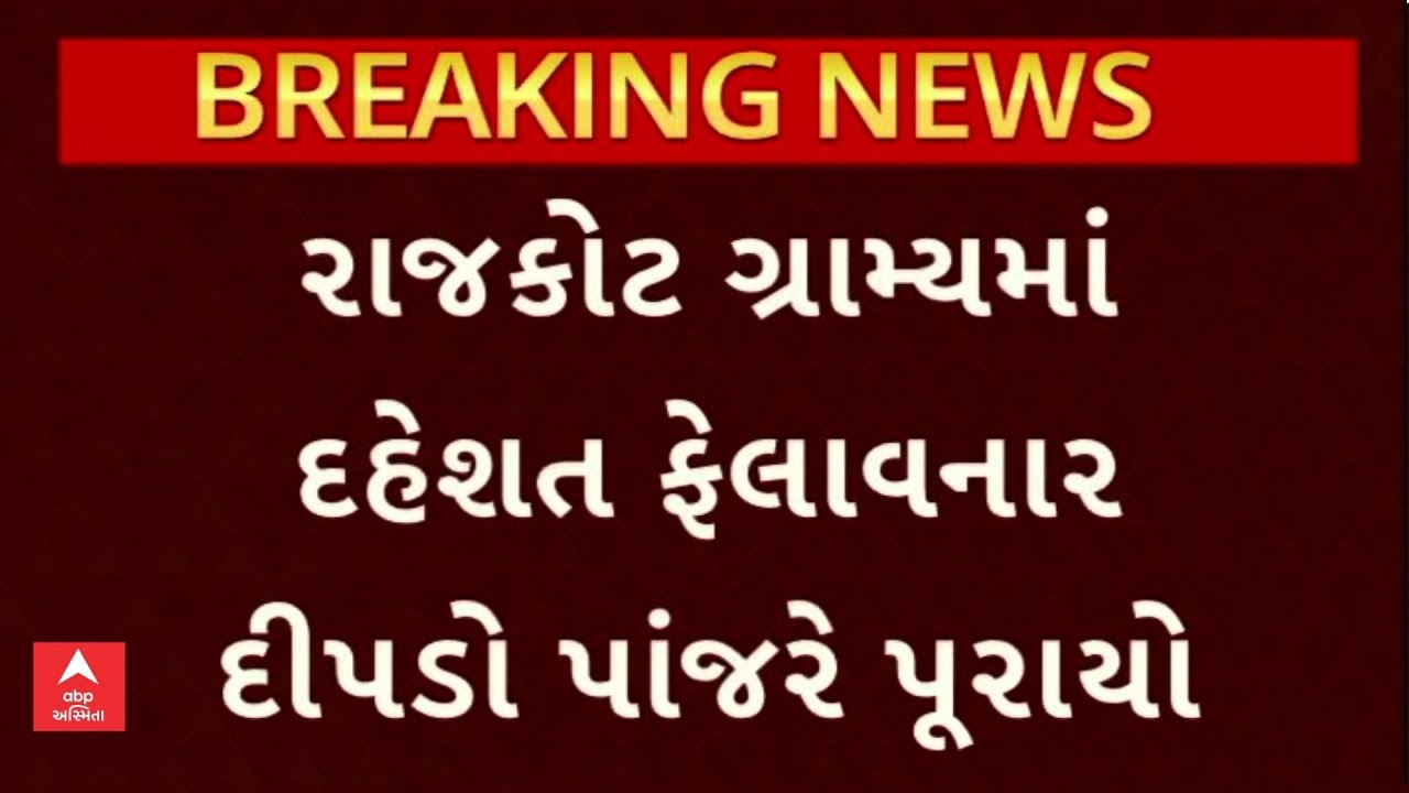 Rajkot Leopard | રાજકોટના જેતપુર-રબારીકા રોડ પર દેખાયેલો દીપડો પૂરાયો પાંજરે