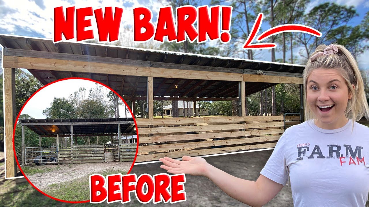 Renovating A 20+ Year Old Horse Barn! NEW PIG ENCLOSURE!