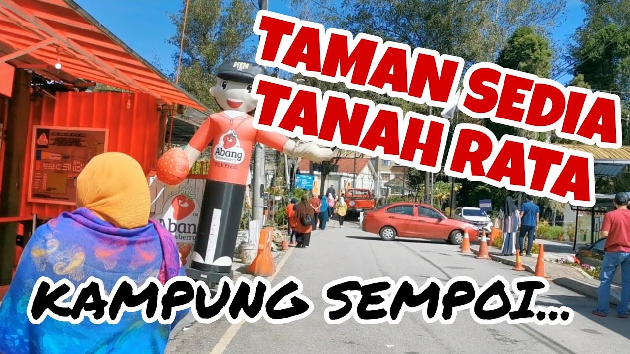 KAMPUNG TAMAN SEDIA CAMERON HIGHLANDS Tempat Menarik Pahang - Kampung Sempoi Semua Ada