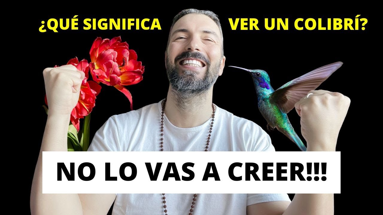 SIGNIFICADO ESPIRITUAL DEL COLIBRÍ - el mensajero de DIOS
