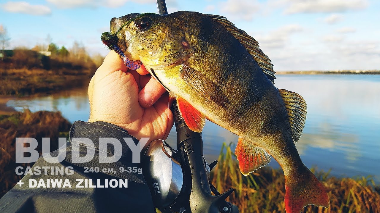 ЛУЧШИЙ БЮДЖЕТНЫЙ КАСТИНГ ДЛЯ ДЖИГА. Buddy 240 см, 9-35g. Daiwa Zillion. Ловля окуня на отводной.