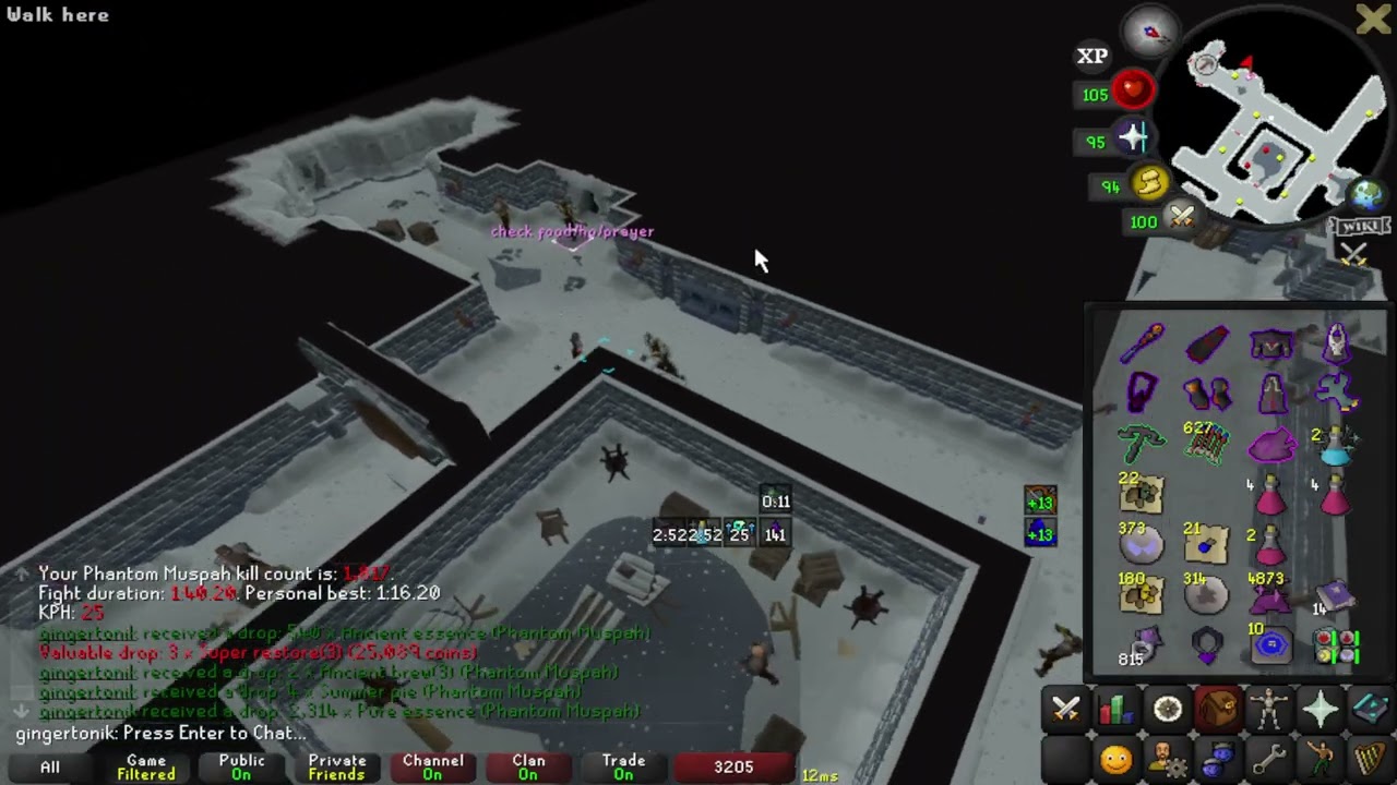 1 Hour of Hybrid Phantom Muspah (Tbow/Eye of Ayak - 30kph/6m gp/hr)