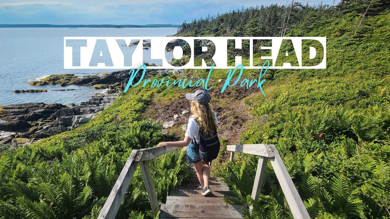 TAYLOR HEAD PROVINCIAL PARK. Taylor Head Beach and Headland Trail Loop hike. Nova Scotia, Canada