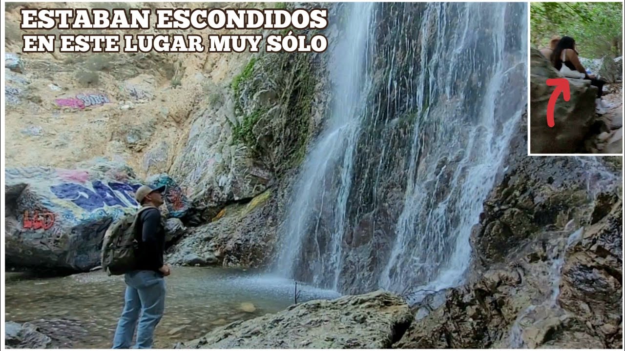 Encontré Una Pareja Escondida En Este  Bosque 